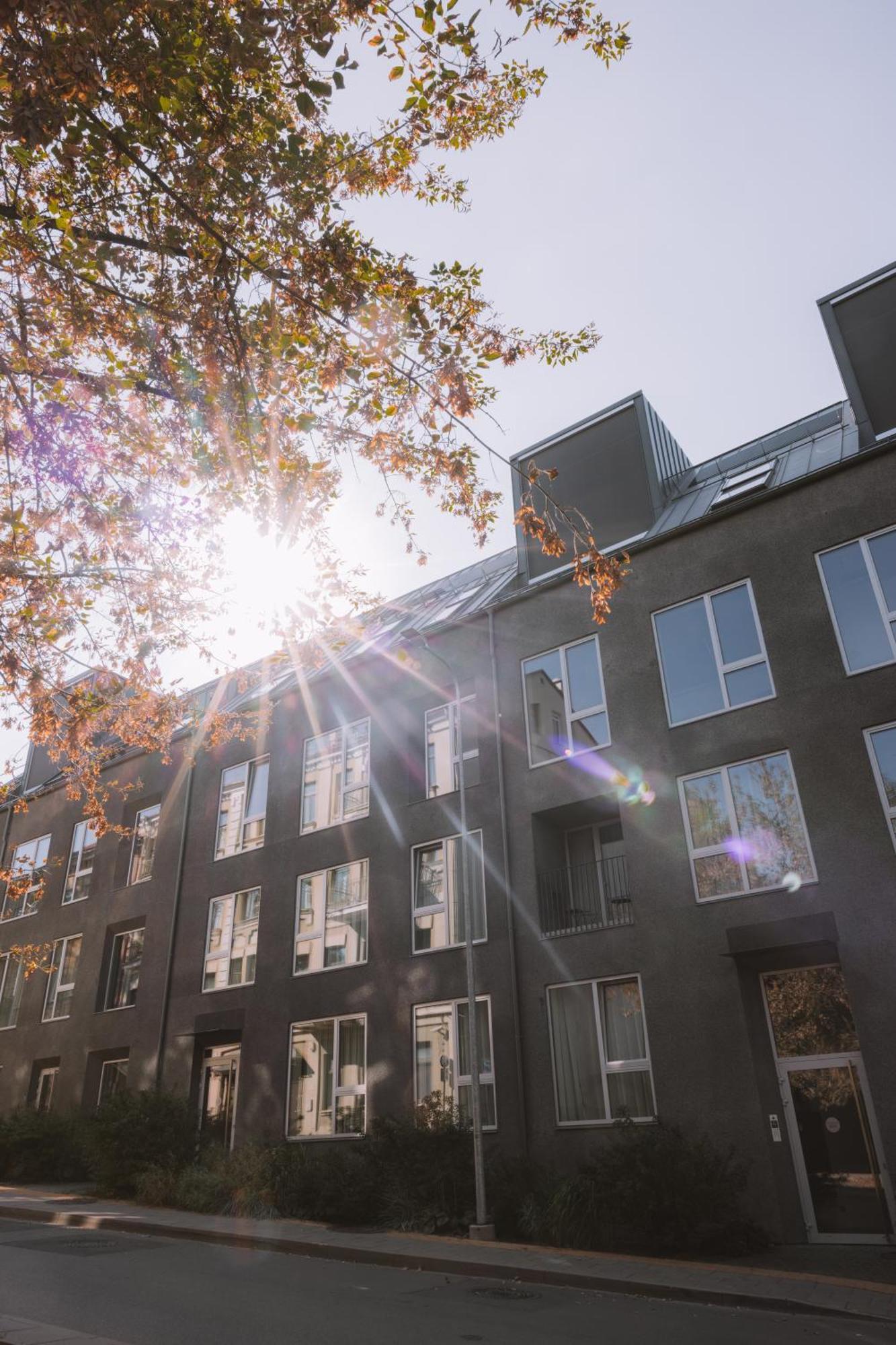Ivis House - Stylish And Original In Old Town Lejlighed *